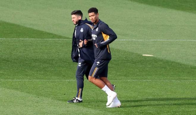 动爱好者的 动爱好者的