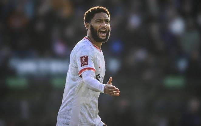 为其他球员 为其他球员